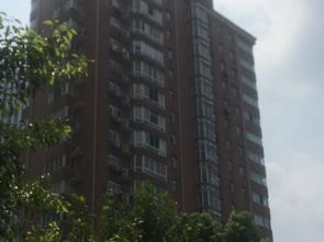 上海老洋房怎么继承房产