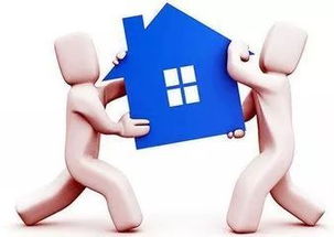 房产共有比例怎么填