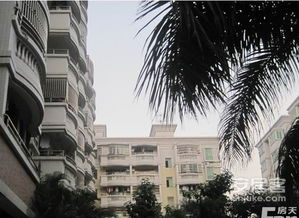 浦城忠信房产怎么样