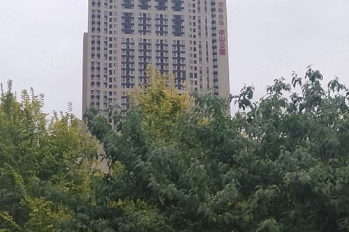 中山小叶房产怎么样