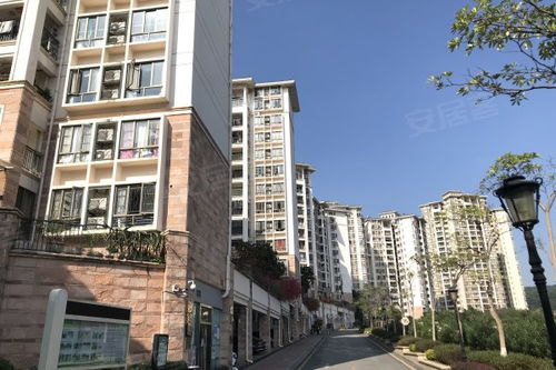 林海房产经纪怎么样