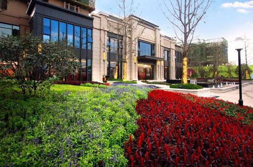 武汉思思房产怎么样