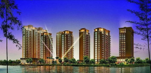 大家是怎么买的房产