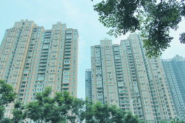 怎么查洛阳自己的房产