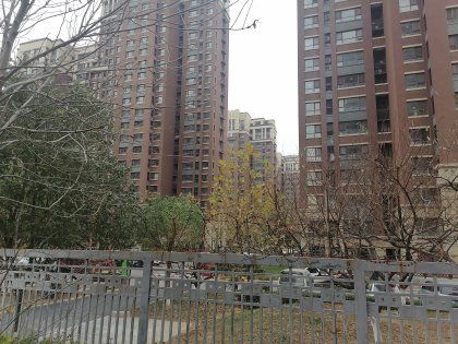 青岛东房产怎么样