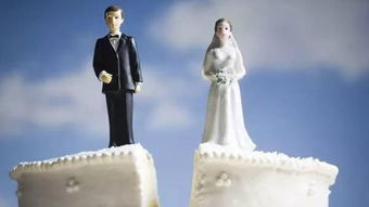 怎么和房产中介结婚