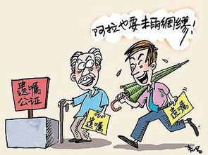 过世的舅舅房产怎么分