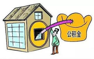 房产预抵押材料怎么填