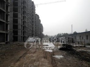 失踪人房产怎么办