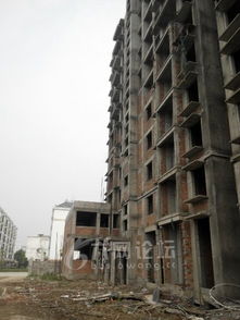 失踪人房产怎么办