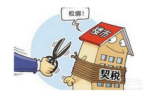 新房产契税要怎么交