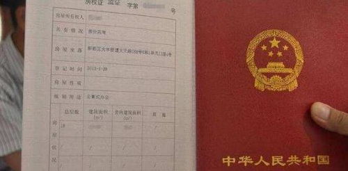 房产证过户怎么分