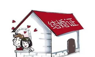 房产证过户怎么分