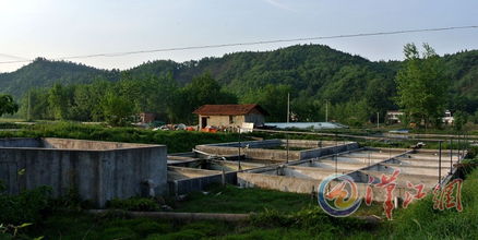 谷城庙滩镇房产怎么样