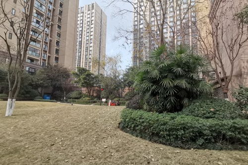 达州贝壳房产怎么样