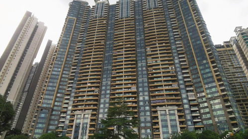 法院拍卖离房产怎么处理