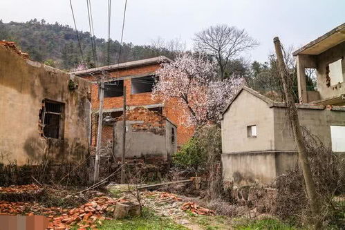 过世后平房房产怎么继承
