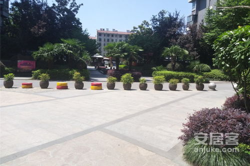 合肥小家房产怎么样