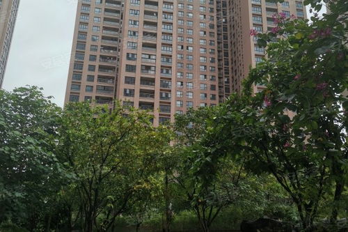 美山房产怎么样