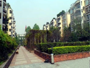 长春齐力房产怎么样