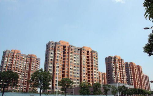 上海房产共同共有怎么分