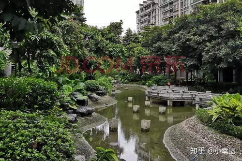 广州房产怎么拍卖行