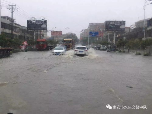 水头房产积水怎么办理