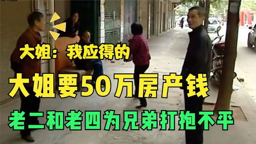 弟弟为房产争吵怎么处理