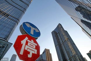 国有公司囤积房产怎么处理