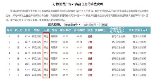 购买公寓性质怎么查房产