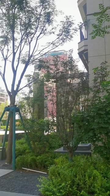 怎么拍小区园林房产视频