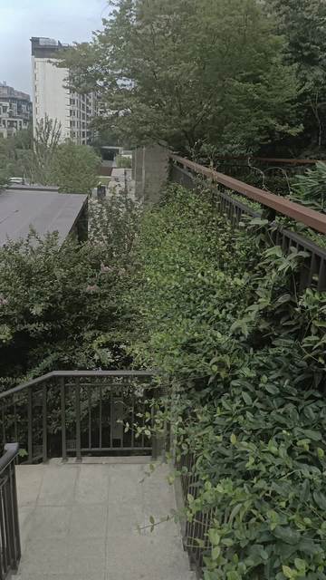 怎么拍小区园林房产视频