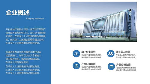 房产策划怎么写报告模板