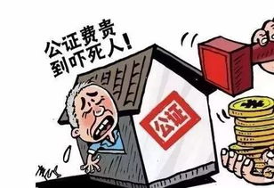 房产怎么公证赠予儿子呢