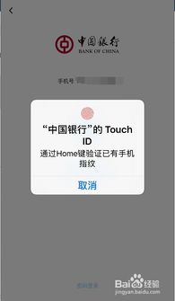 银行房产份额怎么查询