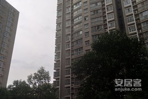 郑州海豚房产怎么样