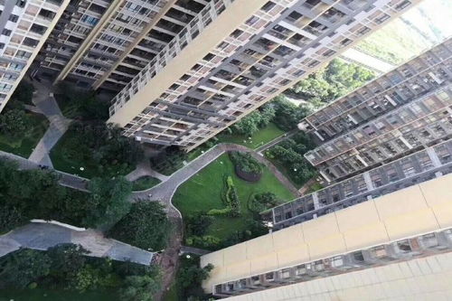 顺德辉煌房产怎么样