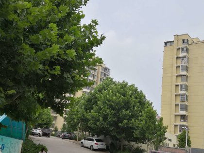 曲阜房产进度怎么样