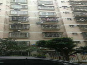 南宁柳柳房产怎么样