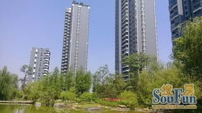 南宁柳柳房产怎么样