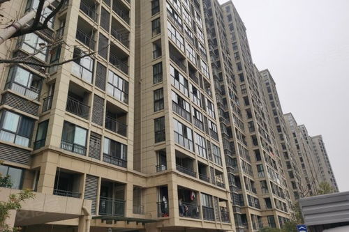 金义房产怎么样