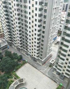 茂名房产信息怎么查 茂名房产信息怎么查