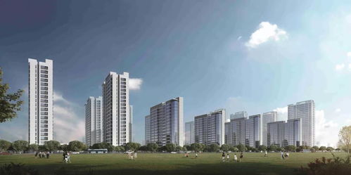 合肥怎么查房产状态 合肥怎么查房产状态