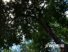 乌鲁木齐华联房产怎么样