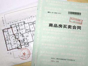 房产预售合同怎么查真伪