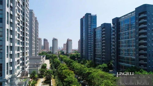 房产居住权 怎么查