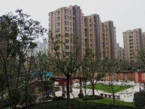 乐平红星房产怎么样 乐平红星房产怎么样