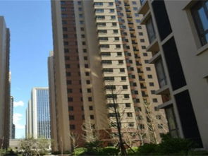 承德小牛房产怎么样 承德小牛房产怎么样