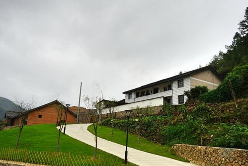 村子的集体房产怎么卖