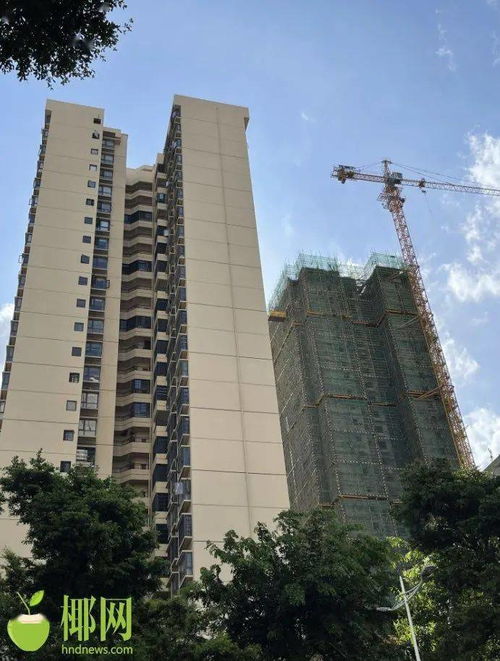 海口市房产怎么查询 海口市房产怎么查询